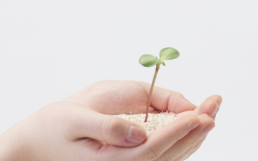 2025年に 2名の利用者さまが一般就労（障がい者雇用）へ移行されました。